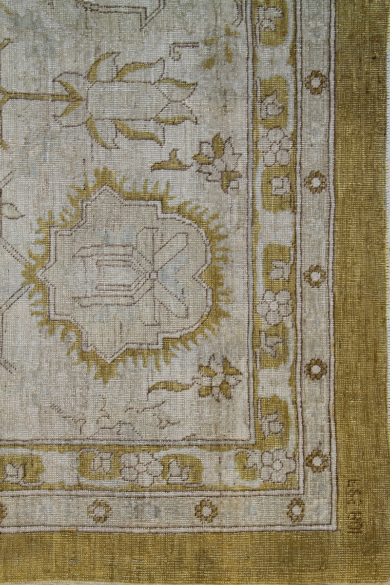 9'x12 Gold Agra 505 Design Ariana Traditional Rug