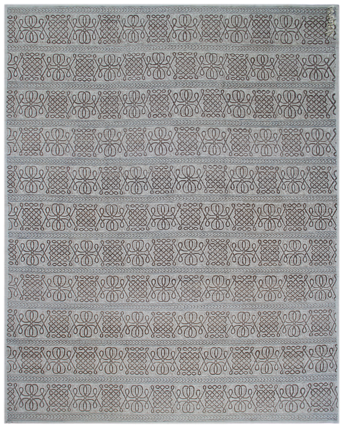 10x14 Ariana Transitional Rug