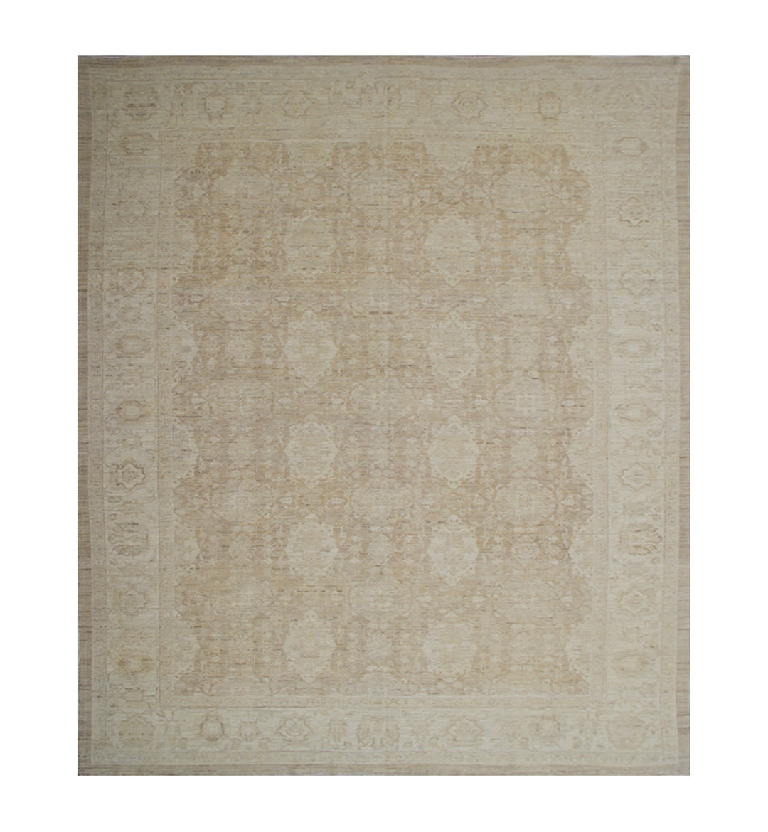9'x12' Hand-knotted Rug | Ariana Traditional | Pale Agra Rug