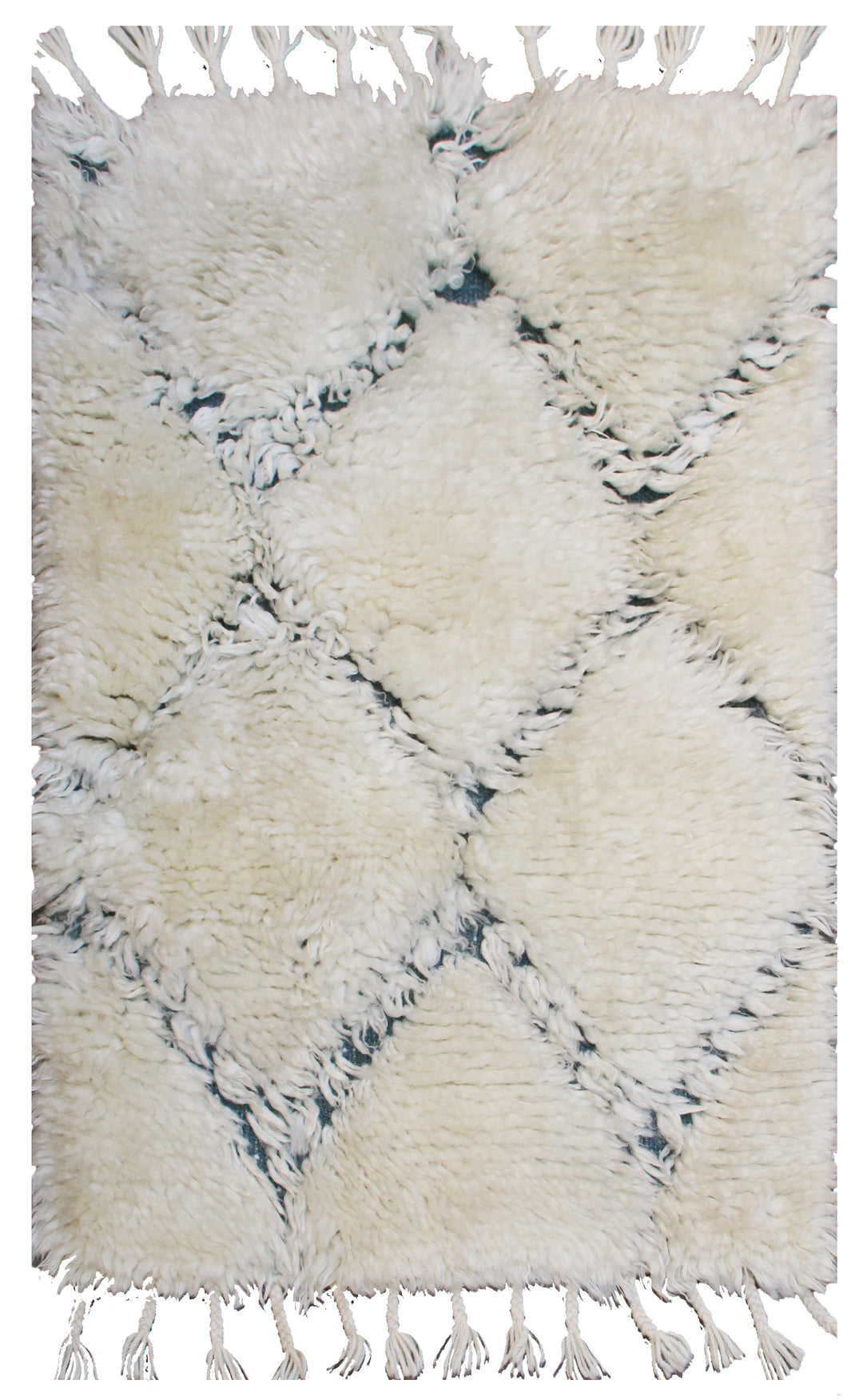 2'x3' Shaggy Ariana Modern Rug Custom Only