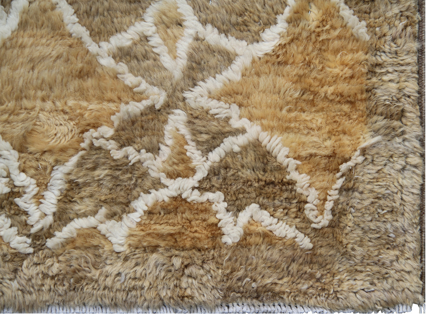 10'x14' Silk and Wool Ariana Modern Rug