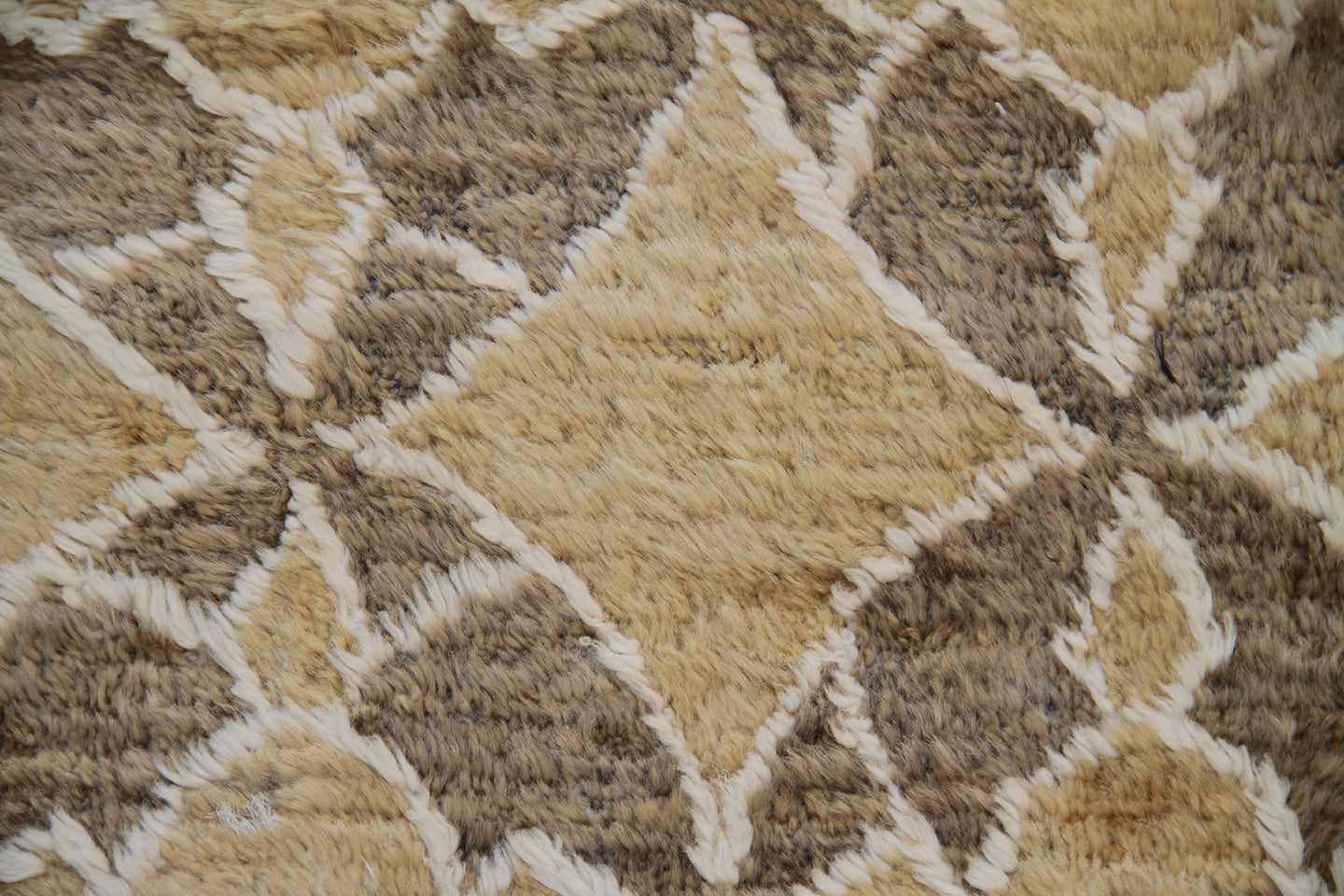 10'x14' Silk and Wool Ariana Modern Rug