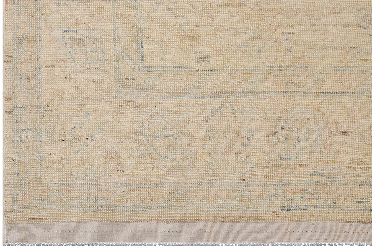5x7 Ariana Transitional Rug
