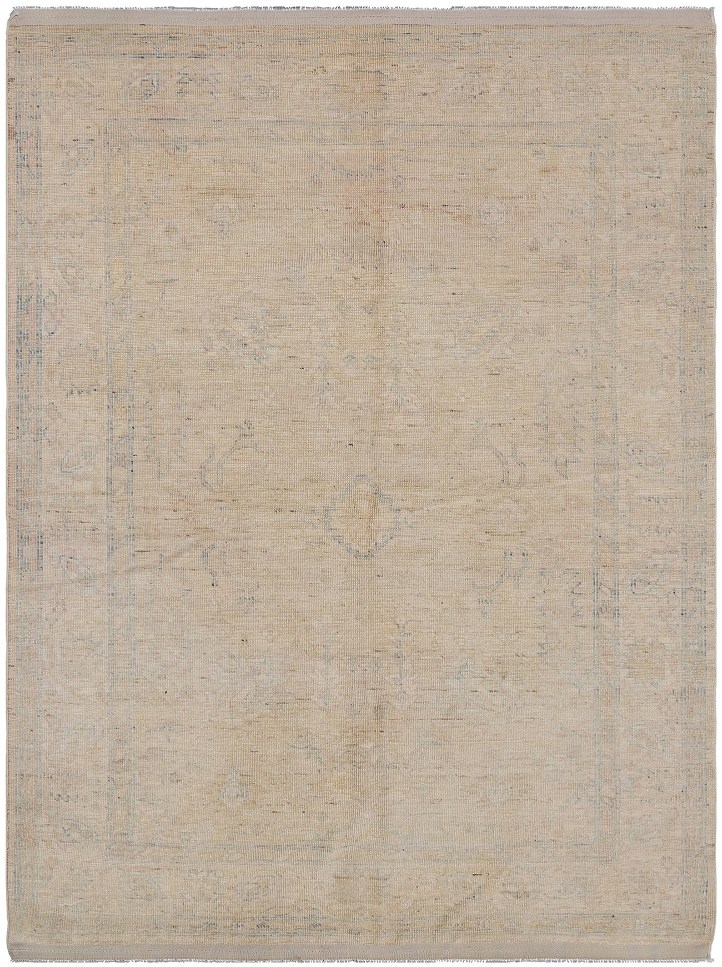 5x7 Ariana Transitional Rug