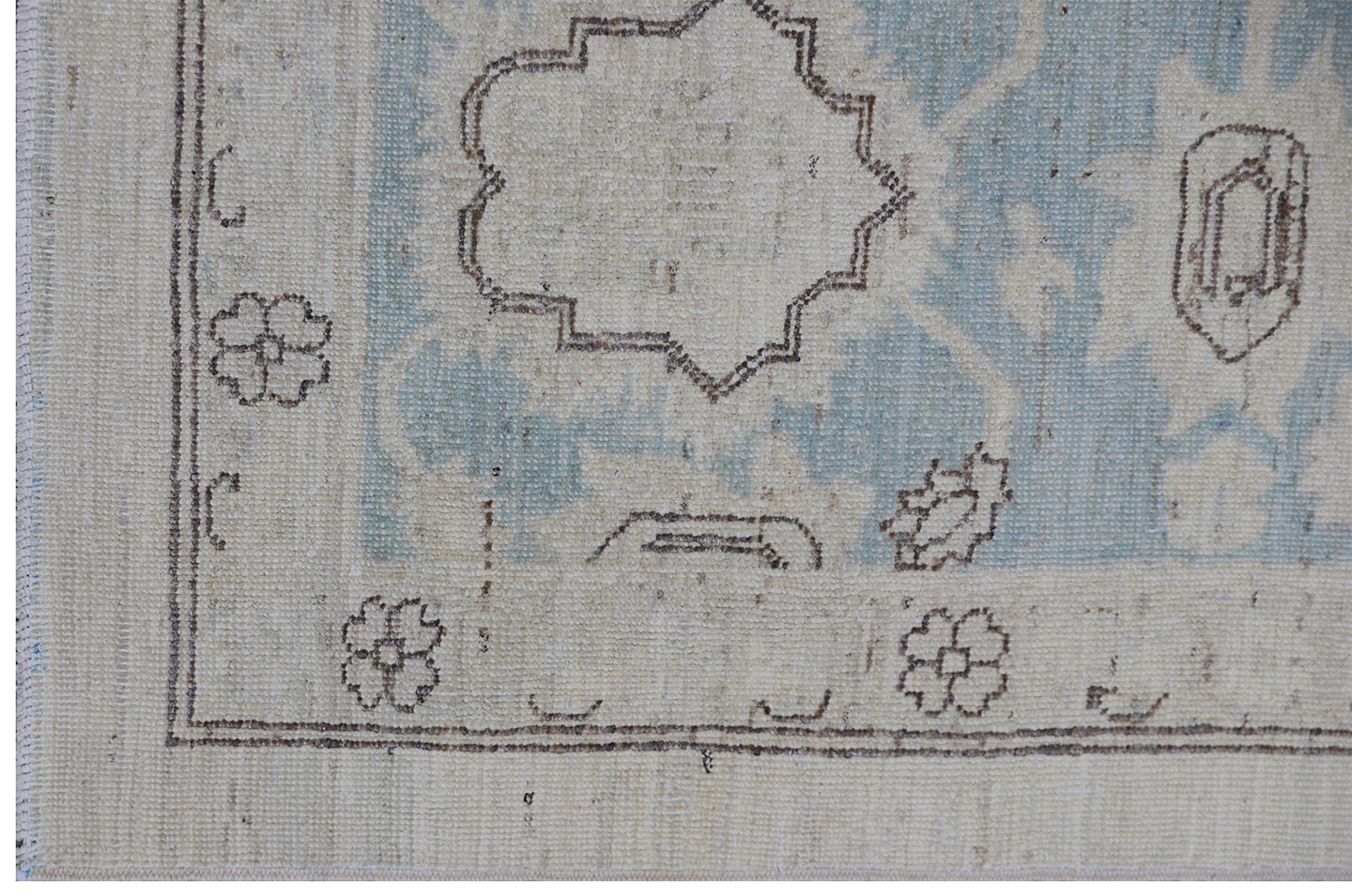 9'x11' Ariana Agra Design Ivory Blue Rug