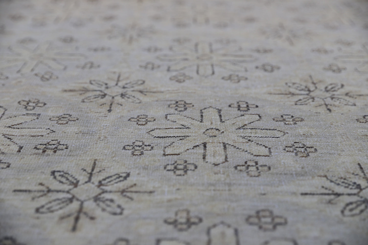 12'x9' Ariana Transitional Floral Ivory Rug