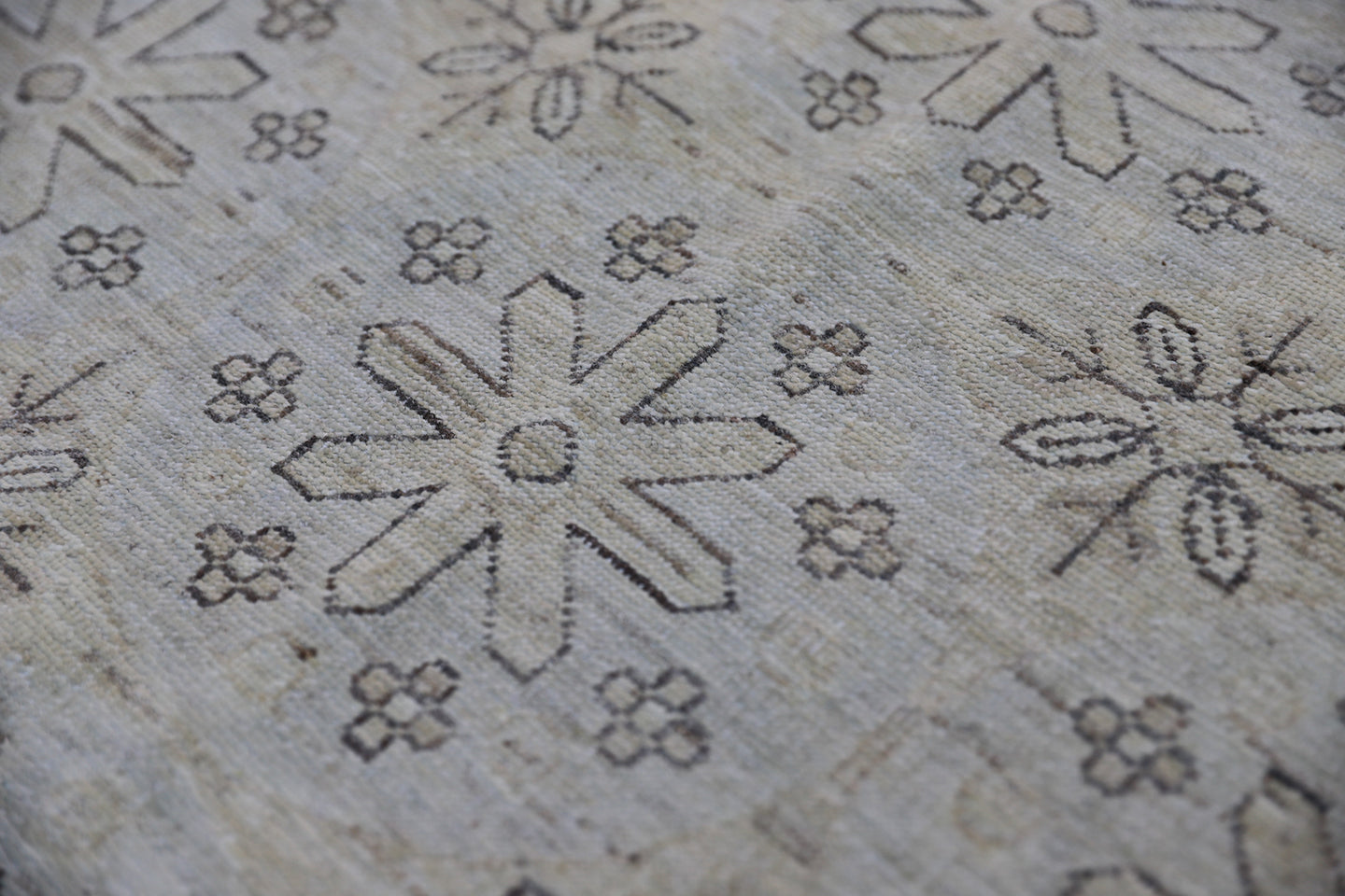 12'x9' Ariana Transitional Floral Ivory Rug