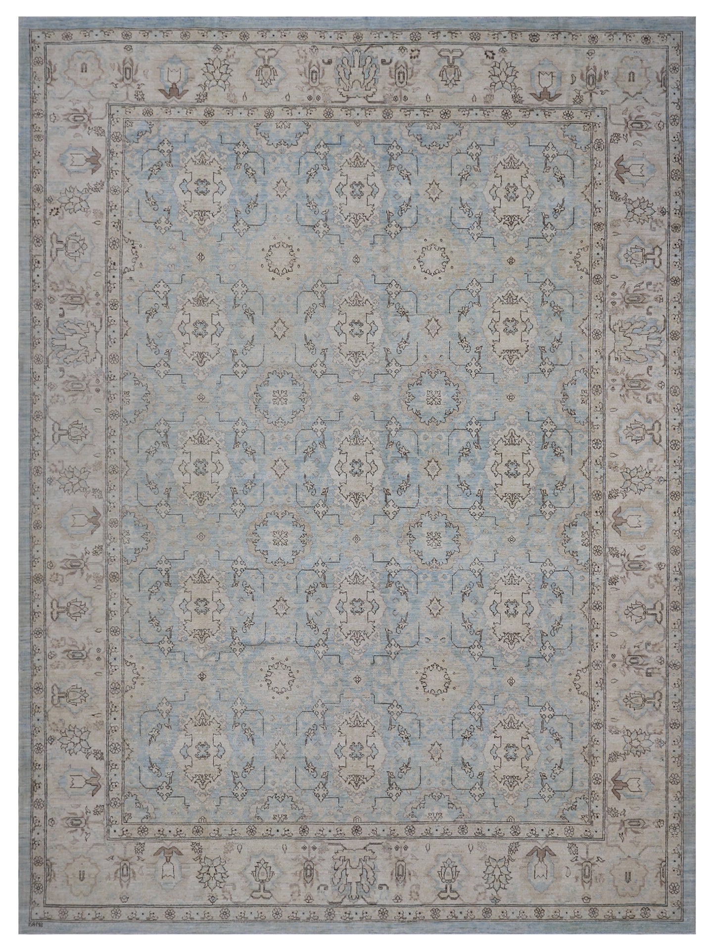 10x13 Blue Agra Ariana Traditional Rug