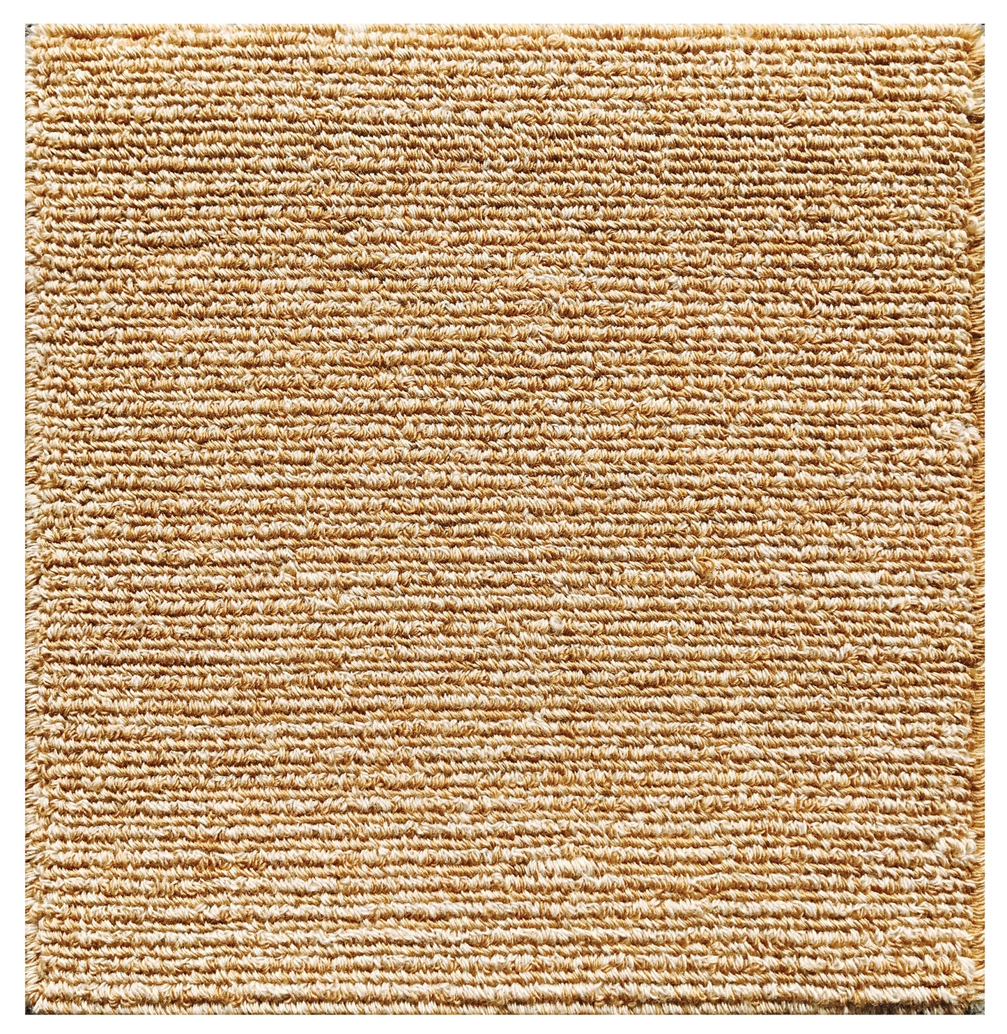 1'x1' Hand Tufted Loop Pile Ariana Modern Custom Only