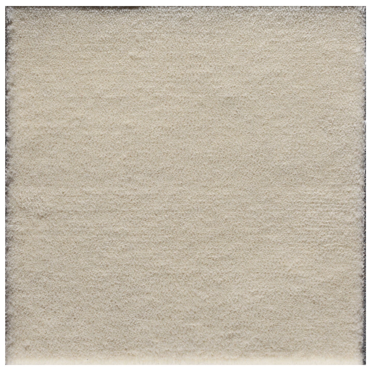 1x1 Cut Pile Tufted Ariana Modern Custom