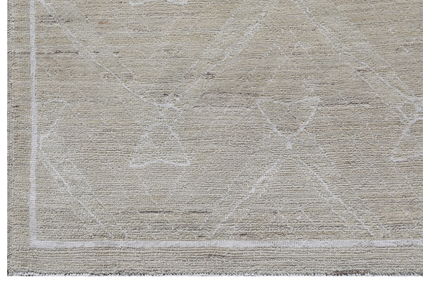 9'x12' Ariana Transitional Earth Tone Ivory White Handmade Rug