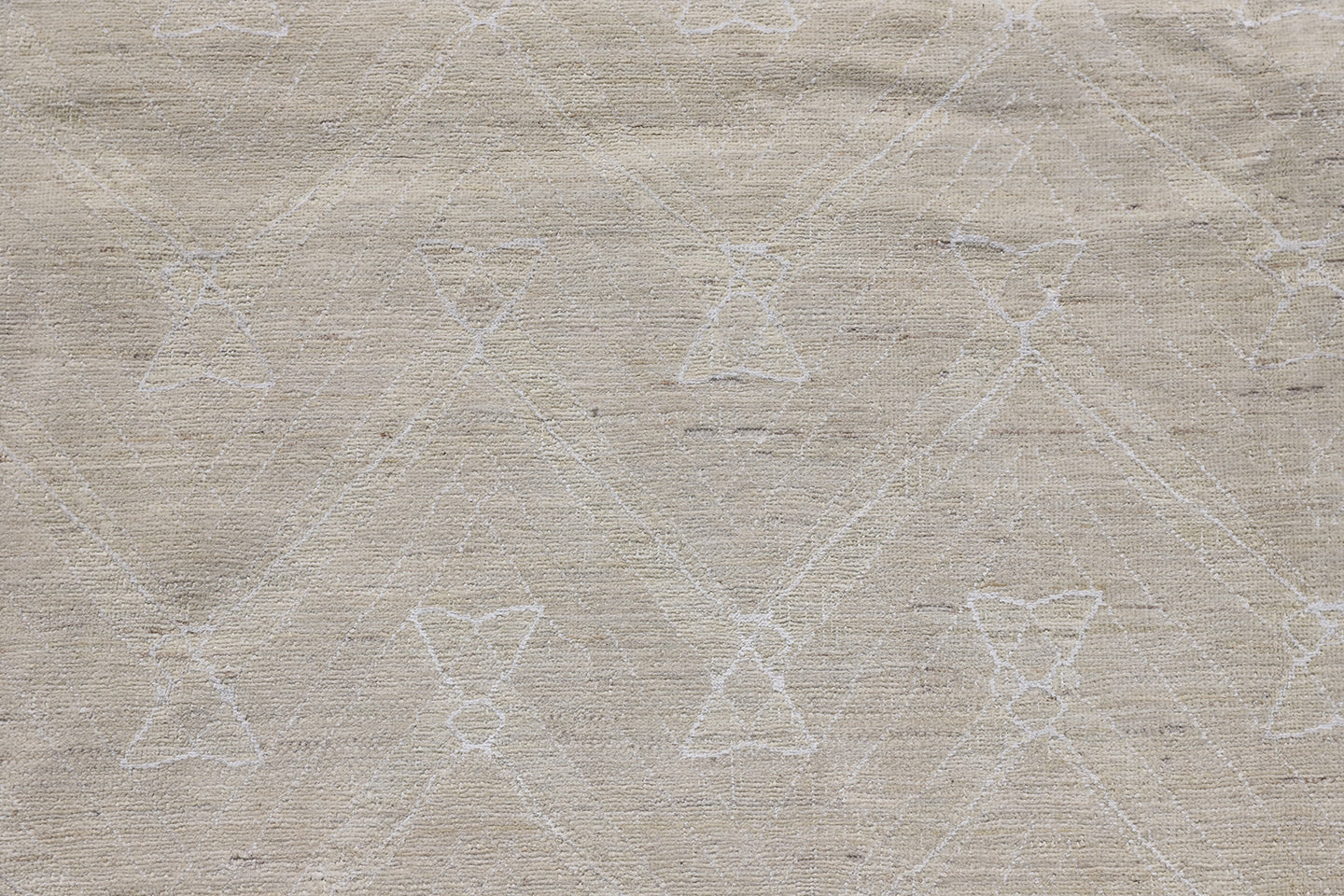9'x12' Ariana Transitional Earth Tone Ivory White Handmade Rug