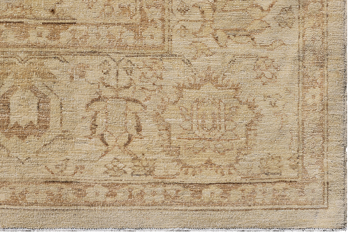 7'x11' Ariana Agra Traditional Design Earth Tone Rug