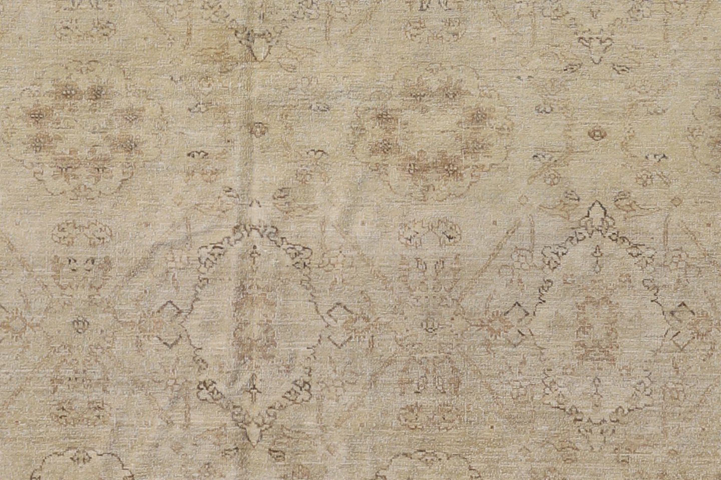 7'x11' Ariana Agra Traditional Design Earth Tone Rug