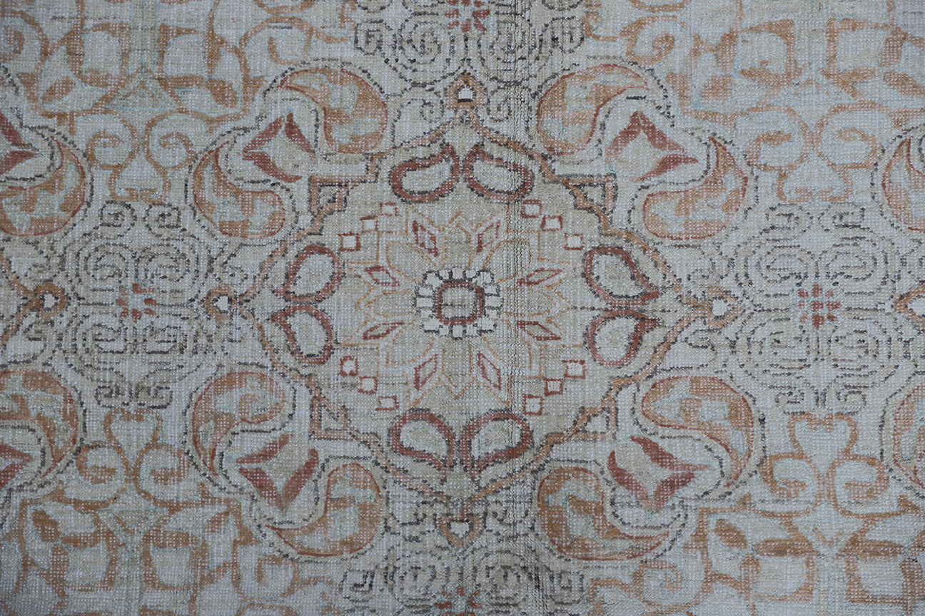 6x8 Ariana Transitional Rug