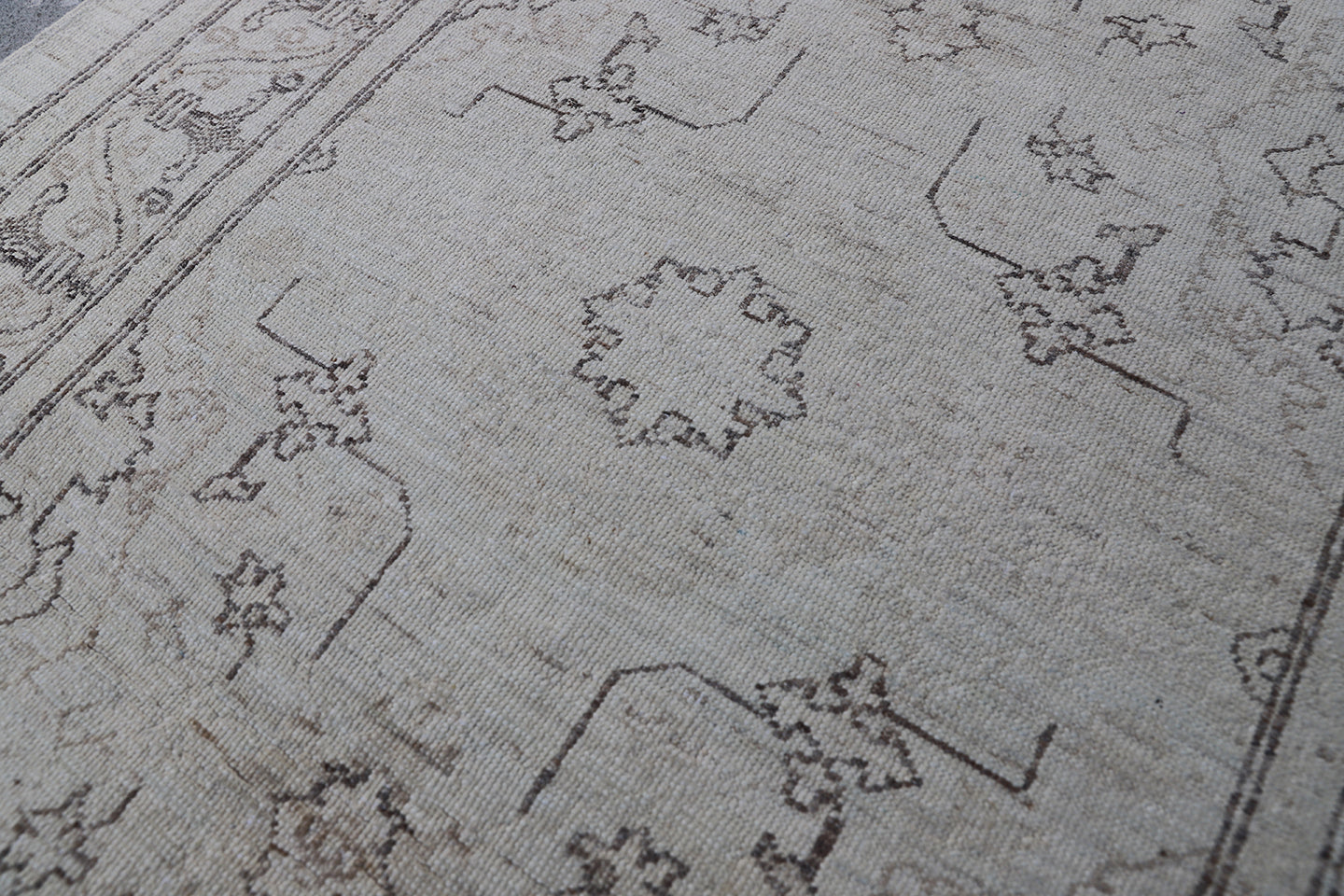 3'x11' Ariana Agra Design Ivory Brown Runner Rug