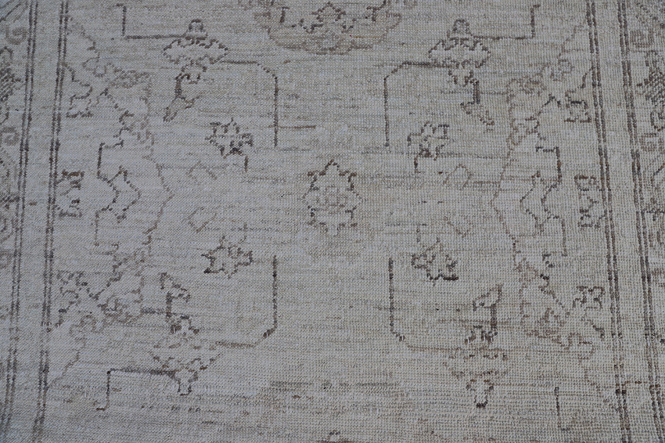 3'x11' Ariana Agra Design Ivory Brown Runner Rug