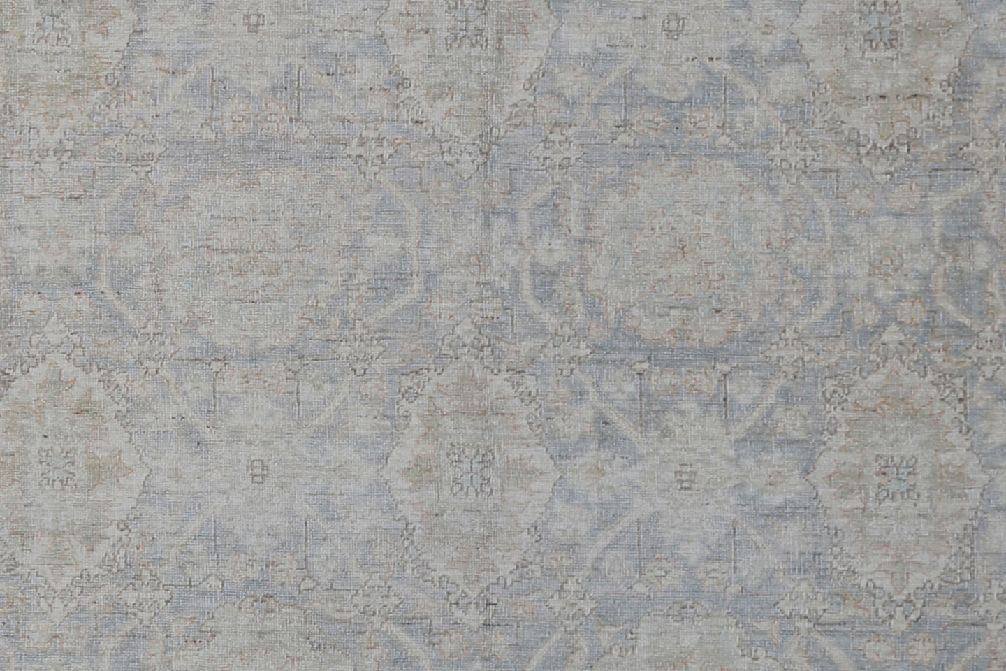 6' x 9' Ariana Fine Traditional Agra Design Rug