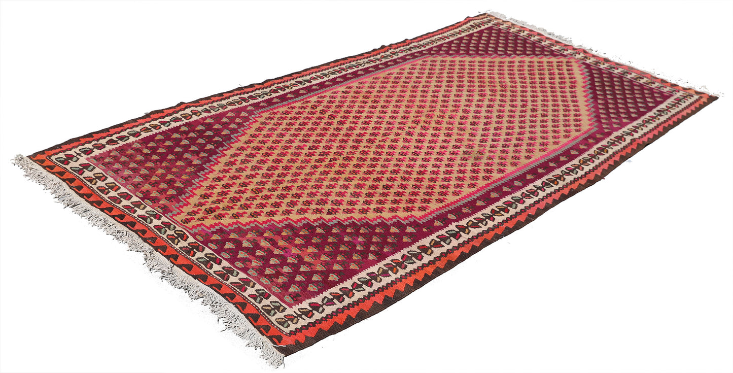 5x9 Vintage Persian Kilim