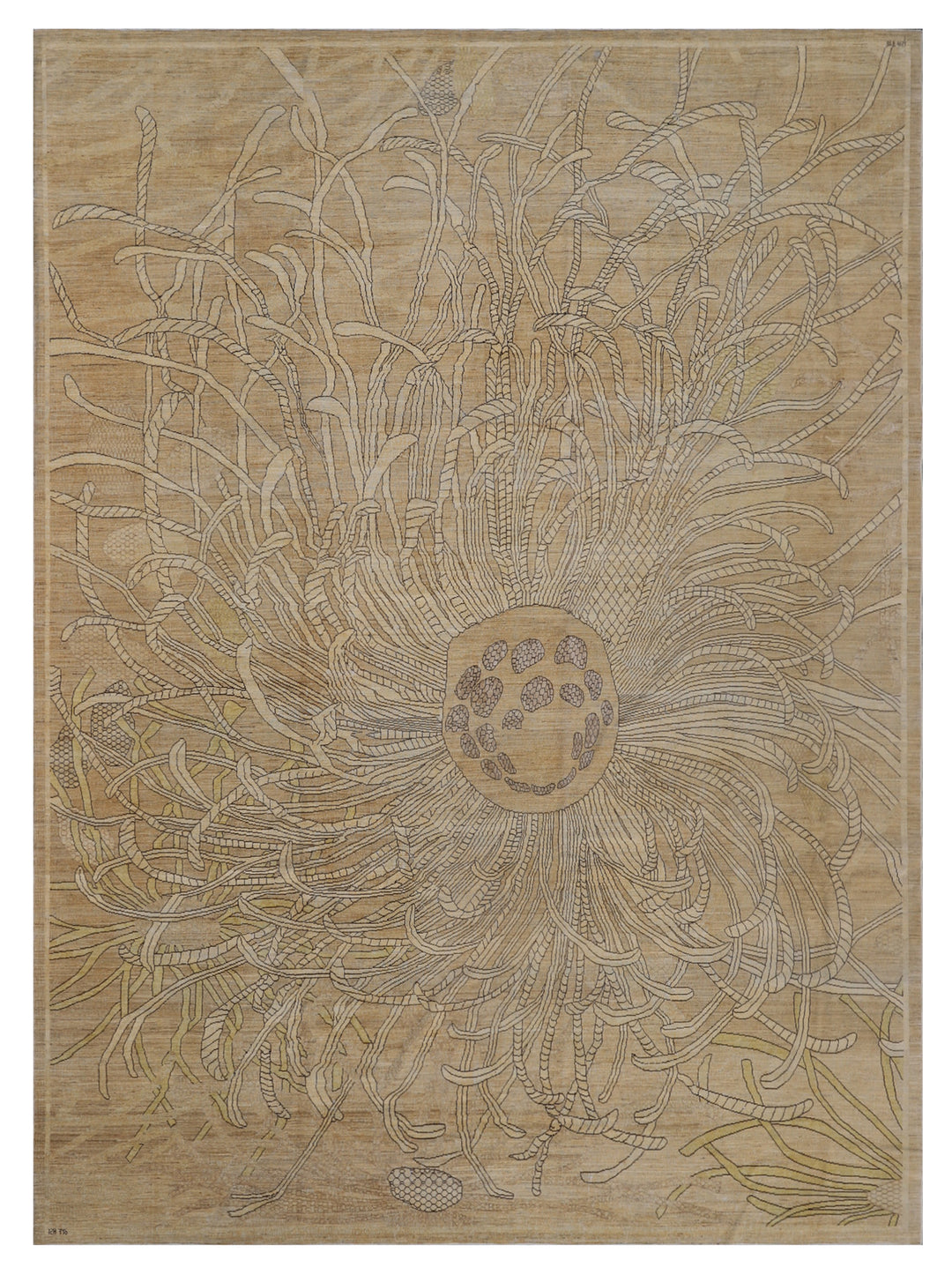 9'x11' Wool Area Rug |Father Star Fish | Ariana Modern Rug