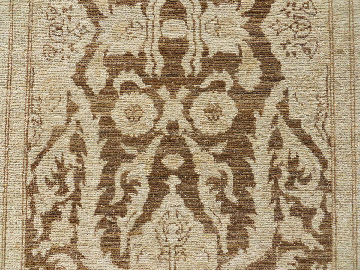 3x10 Agra Design Ariana Traditional Runner Rug