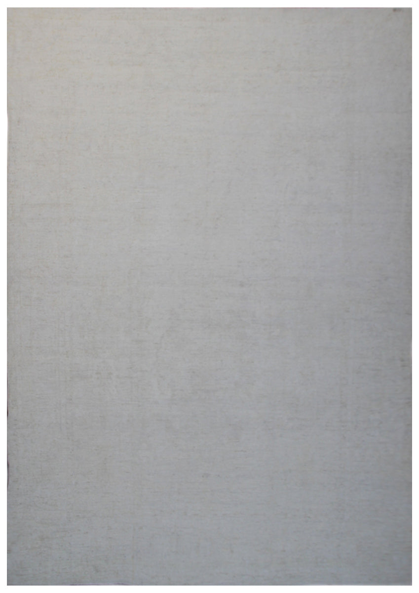 10'x14' Pale Wool Area Rug | Ariana Agra Design Rug