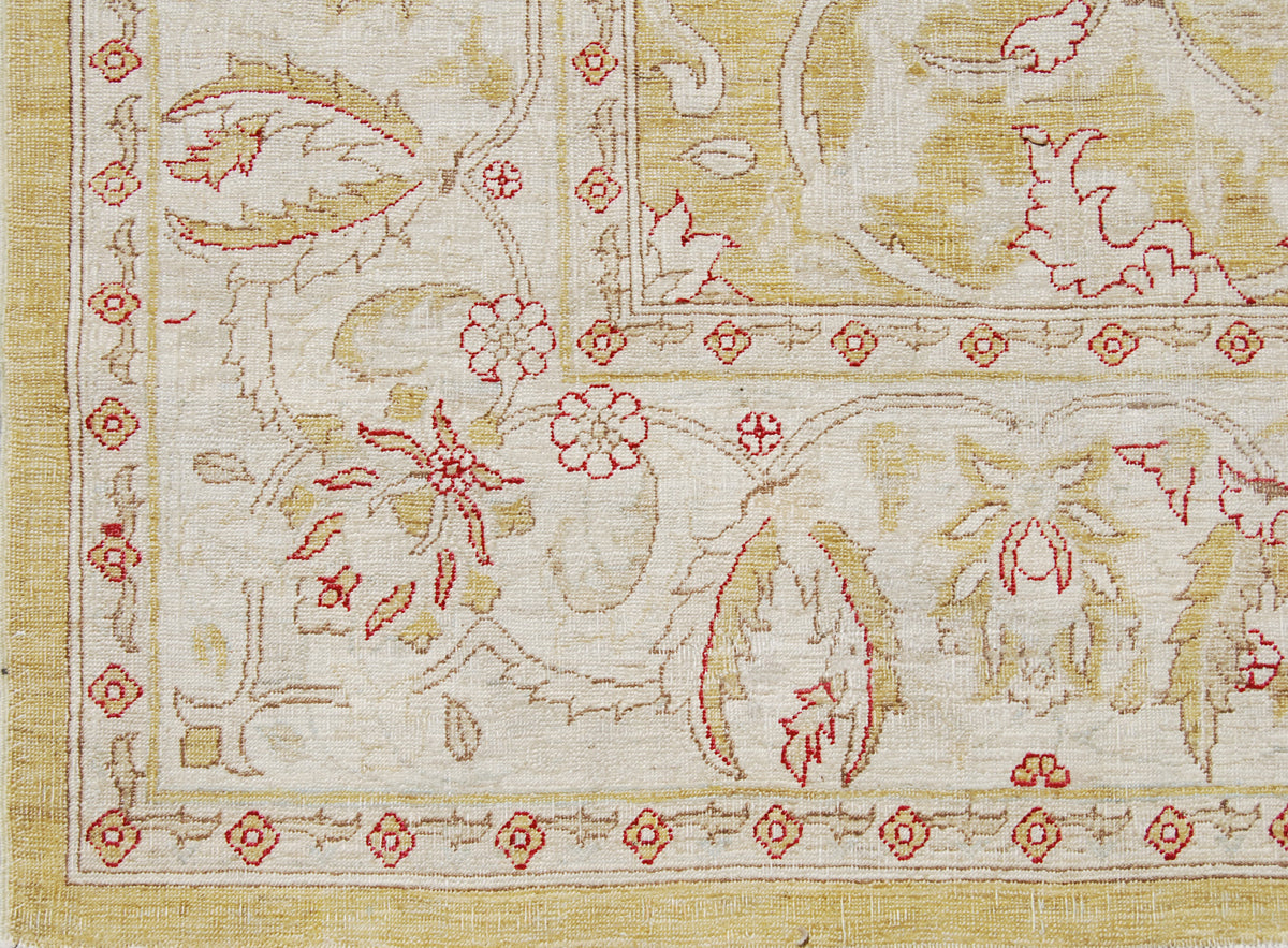 9.02 x 5.11 Ariana Traditional Rug
