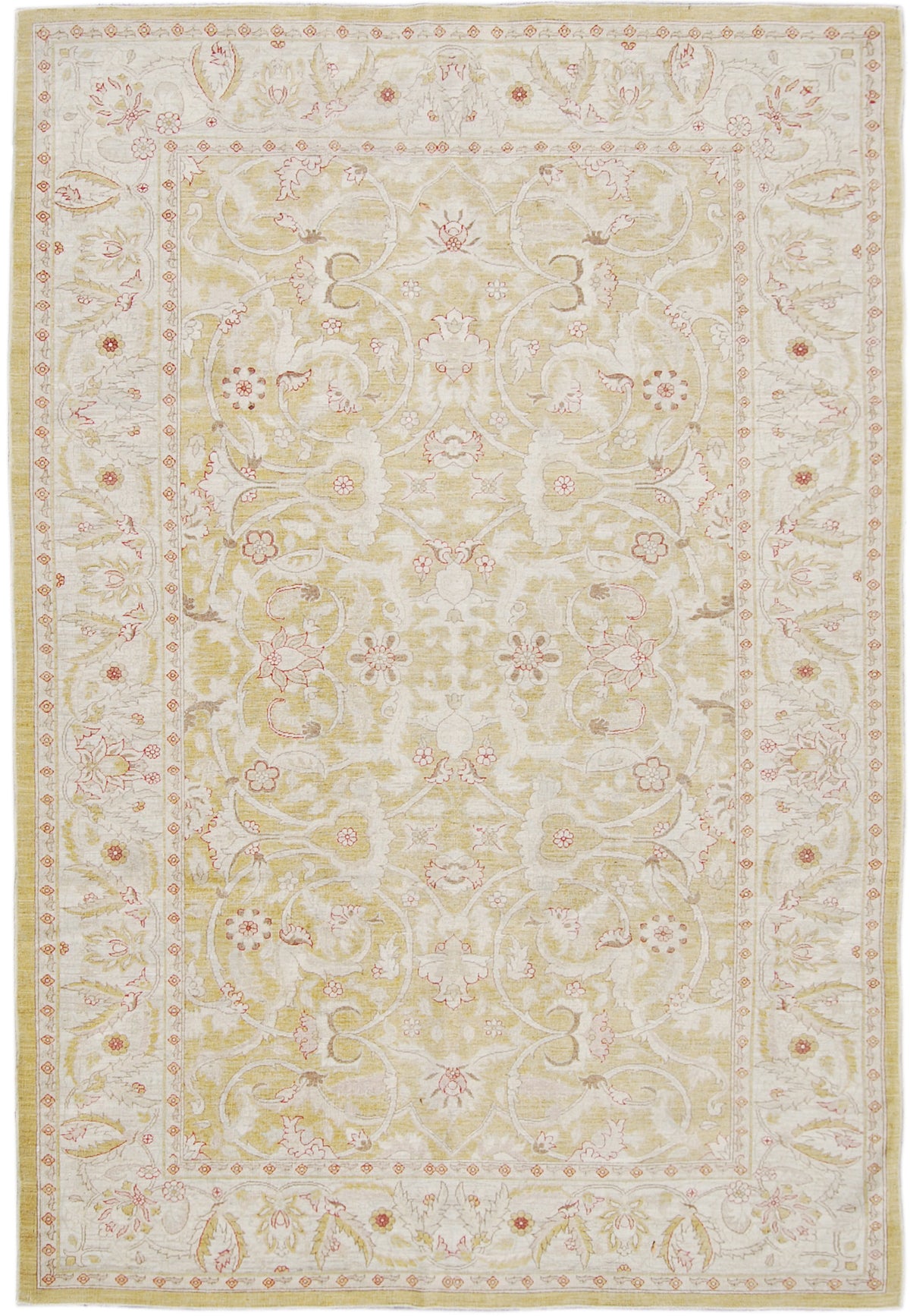 9.02 x 5.11 Ariana Traditional Rug