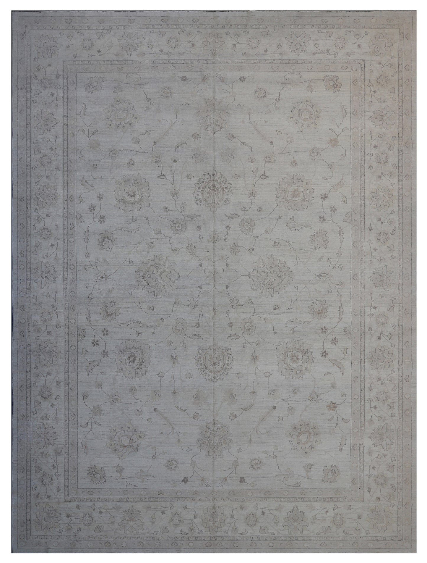 10x14 Ariana Traditional Rug
