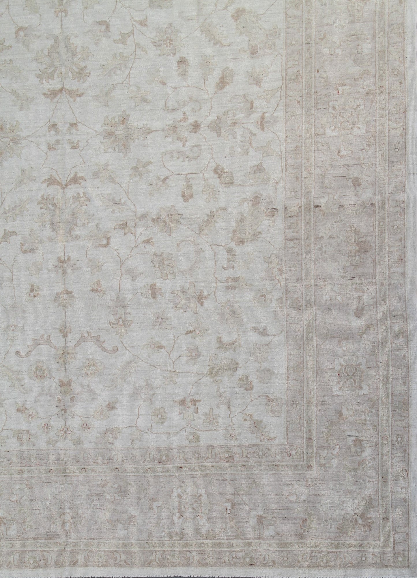 9.08 x 7.09 Soft Zigler Design Ariana Traditional Area Rug
