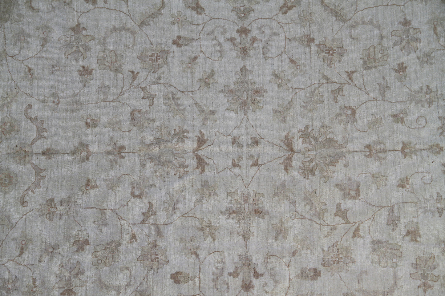 9.08 x 7.09 Soft Zigler Design Ariana Traditional Area Rug