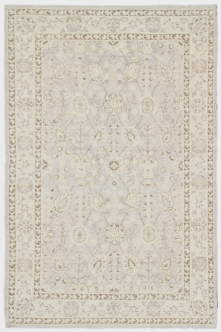 6'x9' Ariana Transitional Sultanabad Design Rug