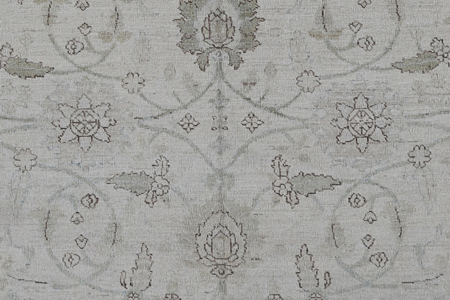6x9 Ariana Transitional Rug