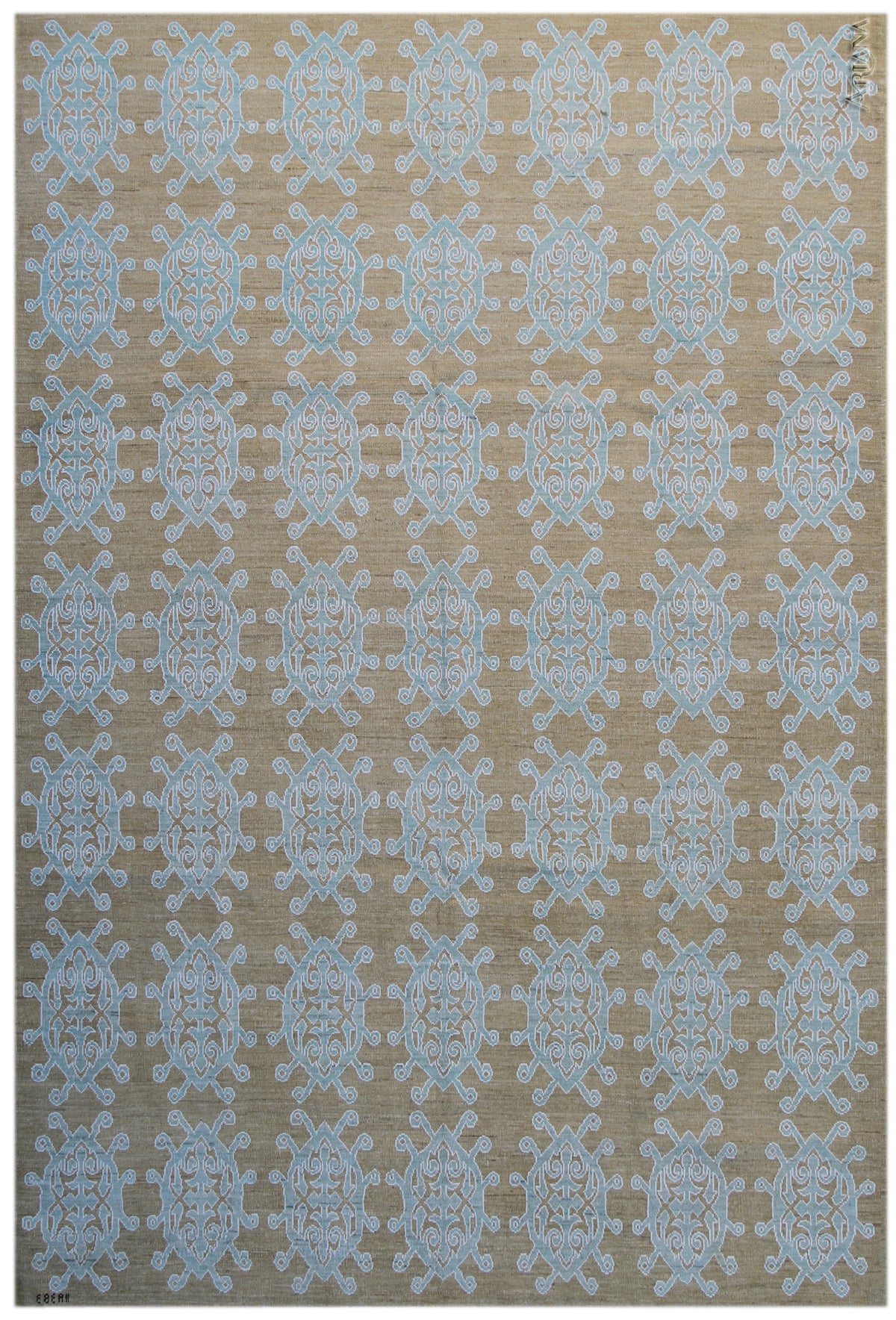 6x9 Ariana Modern Rug