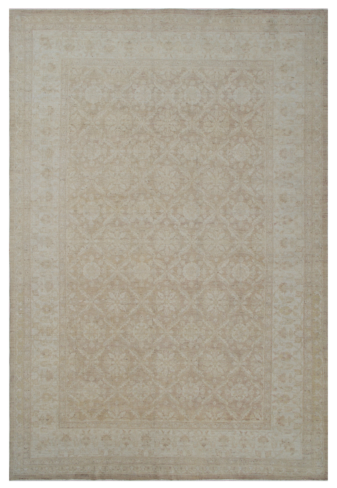 6'x9' Ariana Transitional European Design Rug