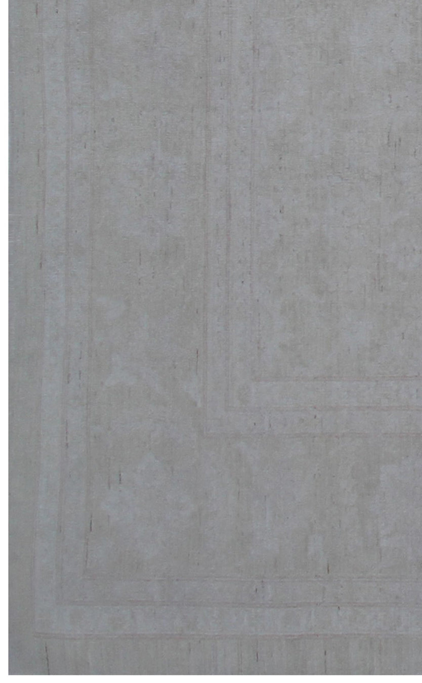 9'x12' Soft Pale Washed-out Ariana Transitional Rug