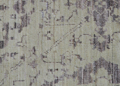 6x10 Soft And Muted Agra Design Ariana Traditional Area Rug