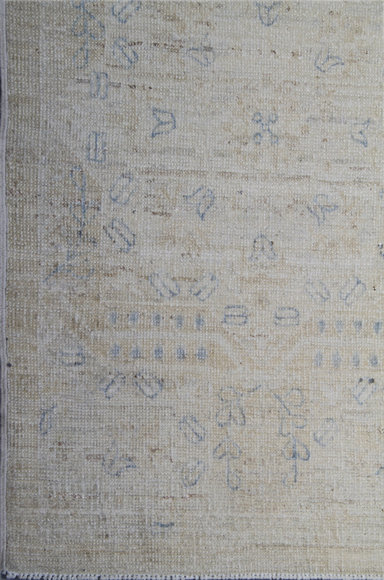 9.06 x 8.01 Soft Color Pale European Design Hand-Knotted Ariana Transitional Area Rug