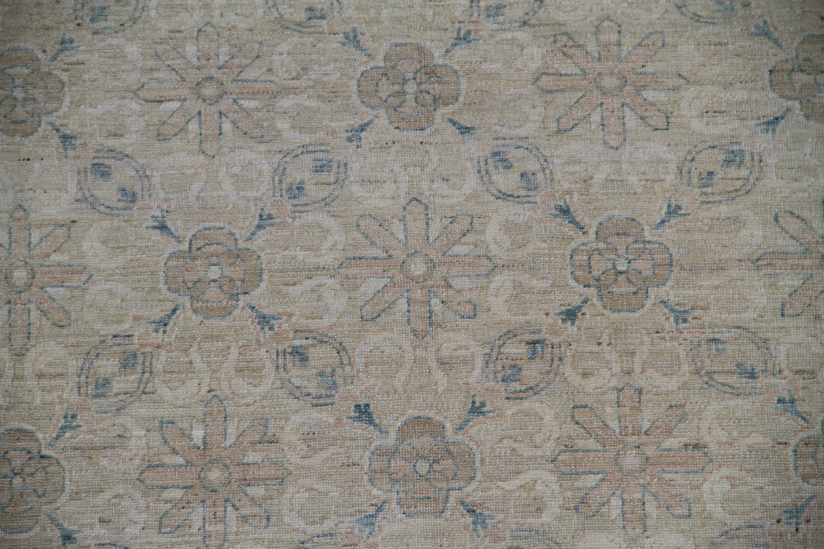 6x9 Ariana Transitional Rug