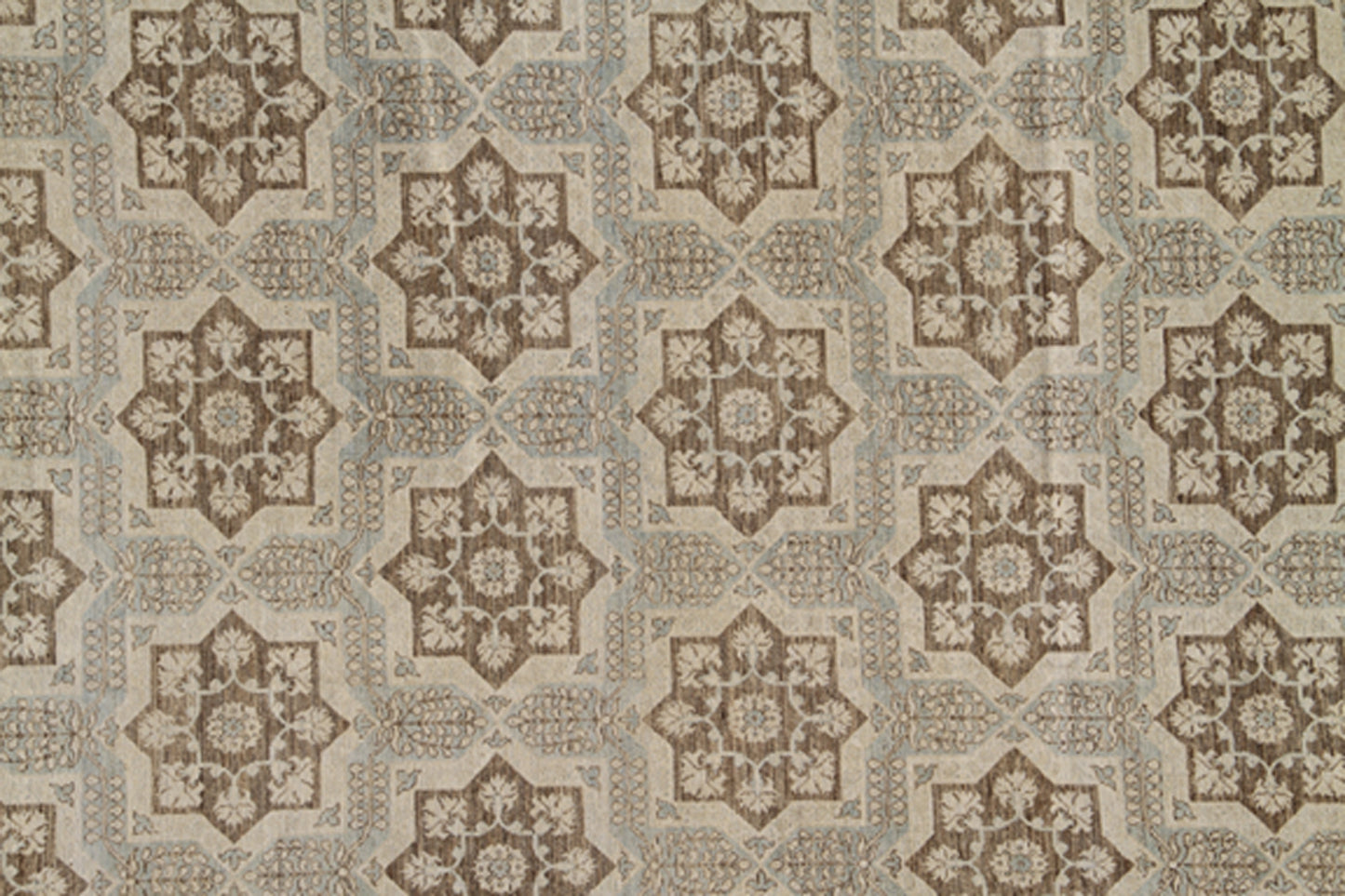 10x15 Ariana Transitional Rug