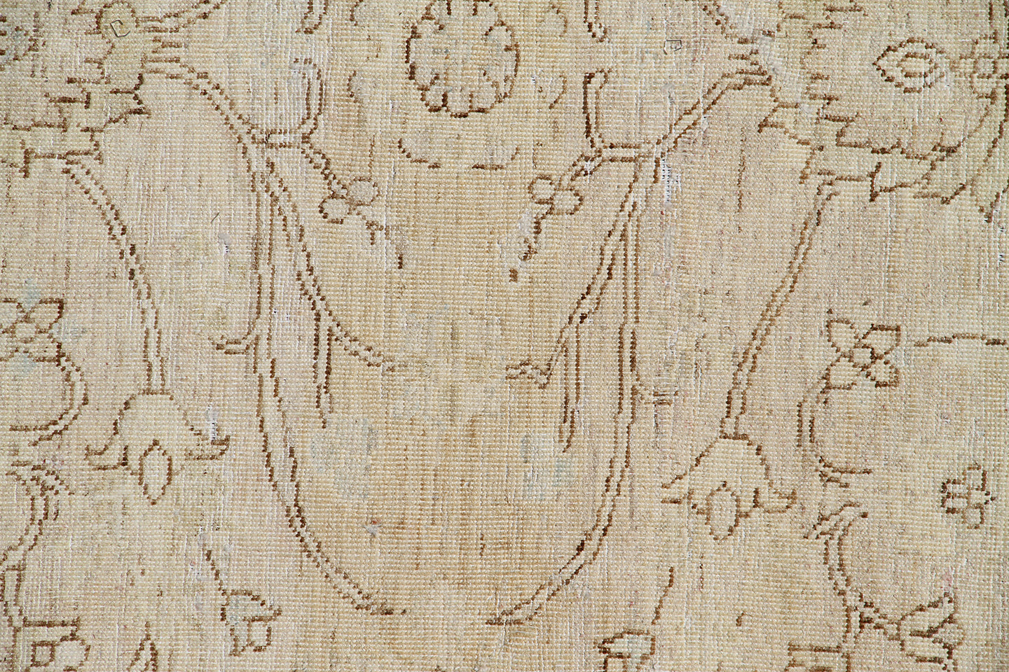 9'x12' Soft Pale Floral Design Ariana Vintage Collection Rug