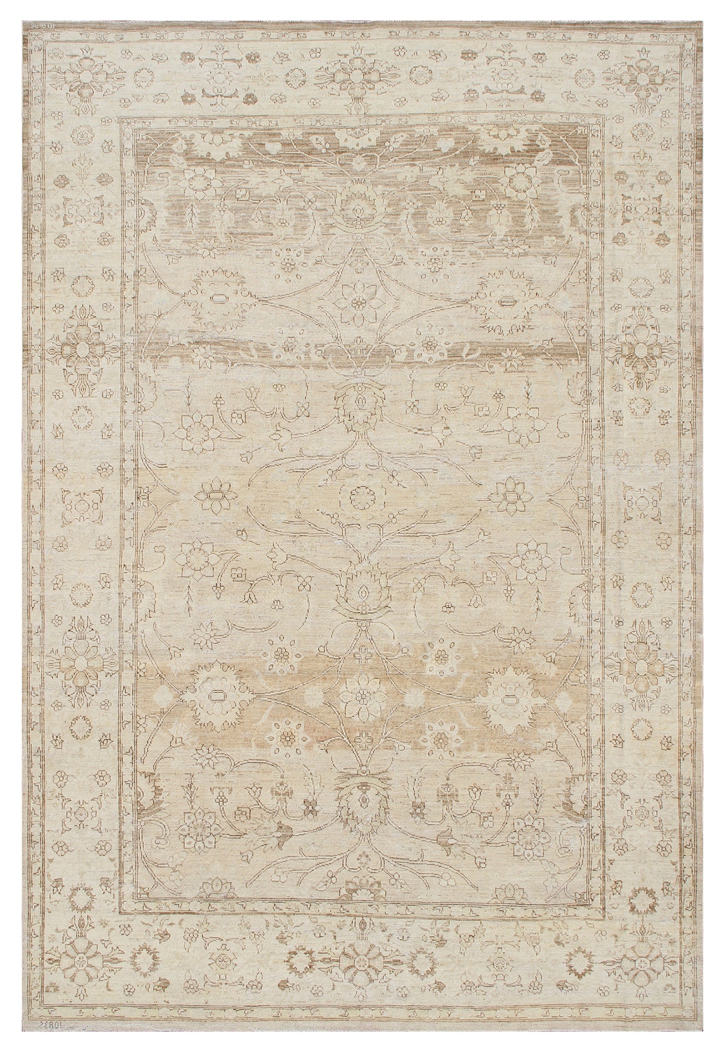 9'x12' Soft Pale Floral Design Ariana Vintage Collection Rug