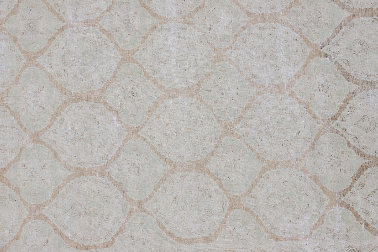 13x18 Large Pale Ariana Vintage Rug
