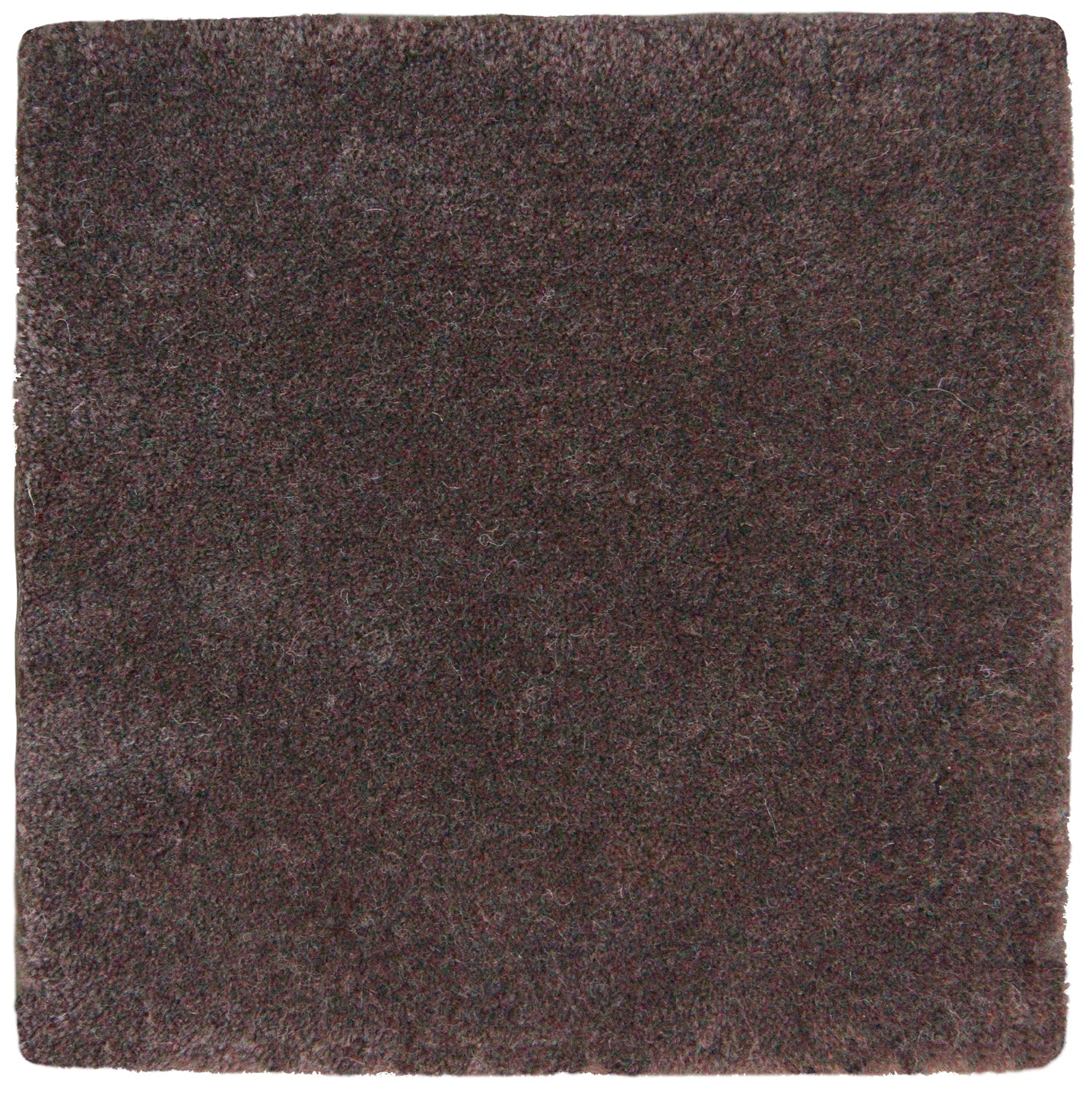 0.03 x 0.03 Solid Ariana Modern Hand-Tufted Fine Merino Rug