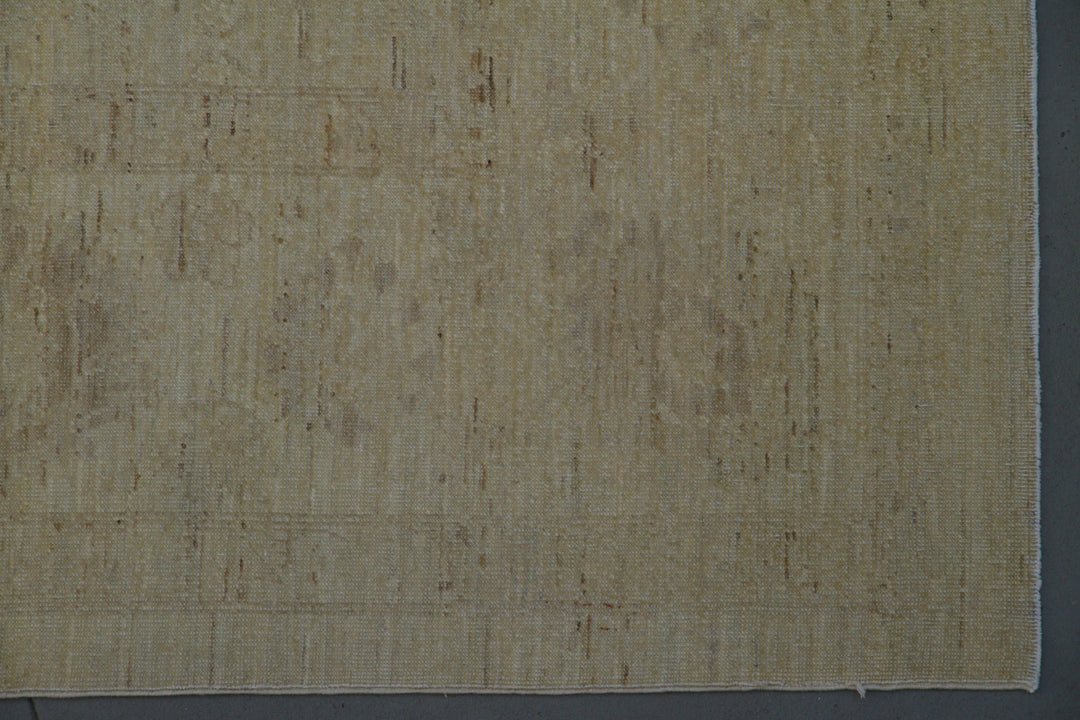 9'x12' Wool Area Rug | hand-knotted | Ariana Transitional Rug
