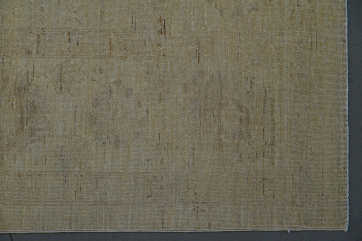 9'x12' Wool Area Rug | hand-knotted | Ariana Transitional Rug