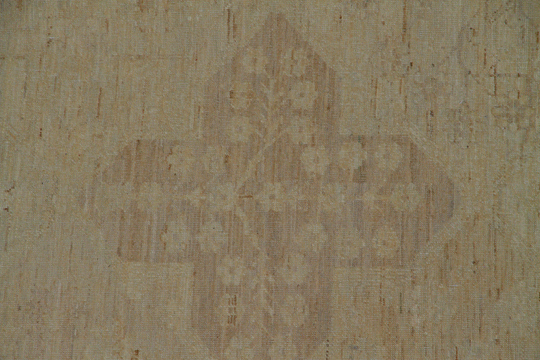 9'x12' Wool Area Rug | hand-knotted | Ariana Transitional Rug
