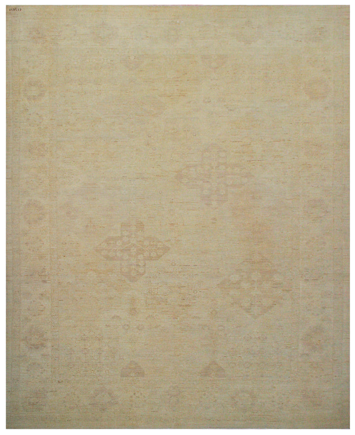 9'x12' Wool Area Rug | hand-knotted | Ariana Transitional Rug