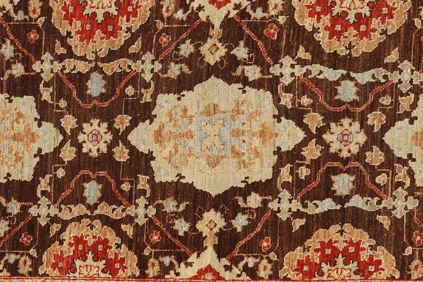3x9 Agra Design Ariana Traditional Runner
