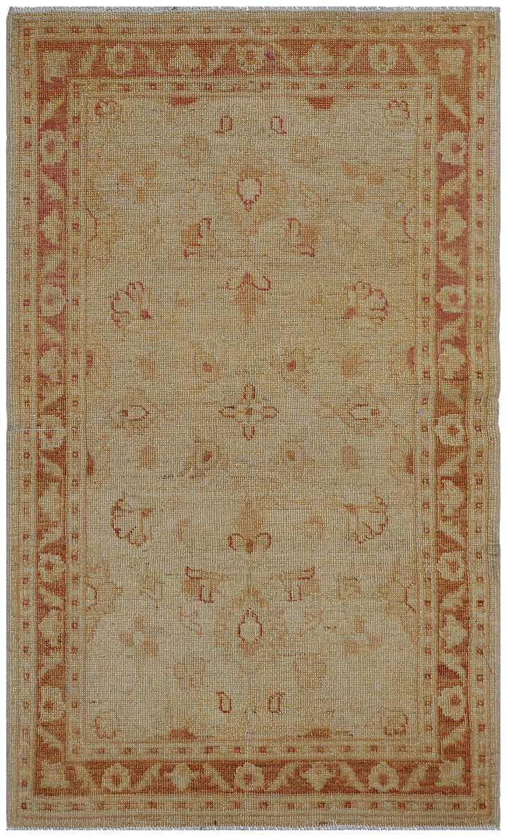 2'x4' Agra Design Floral Ariana Traditional Collection Small Rug